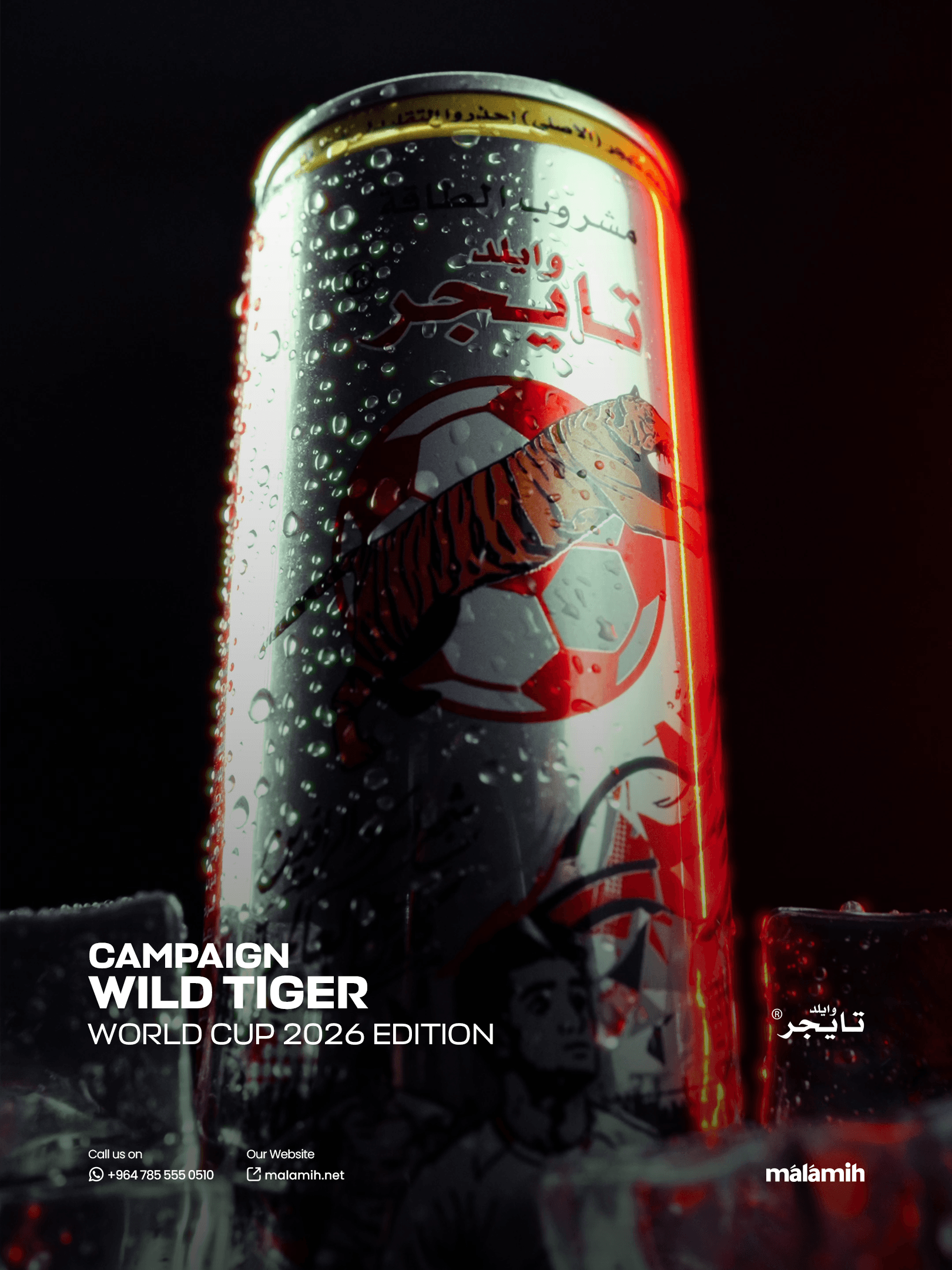 Wild Tiger - Integrated Commercial Campaign detail